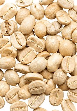 beans-pale beans-pale